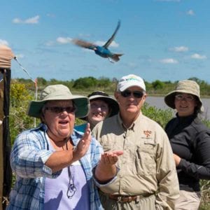 Linda releases an indigo bunting after banding