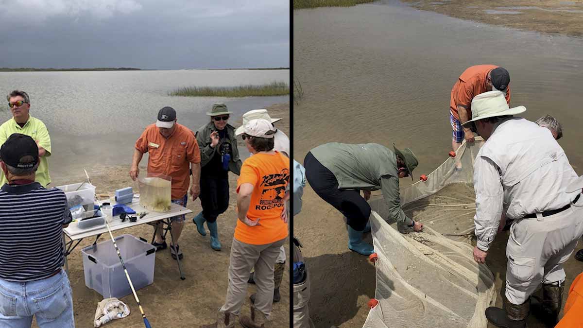 post.bayEcology Members-in-training learn about critters that live in the bay from Dr. Russ Miget, charter member of the Mid-Coast chapter