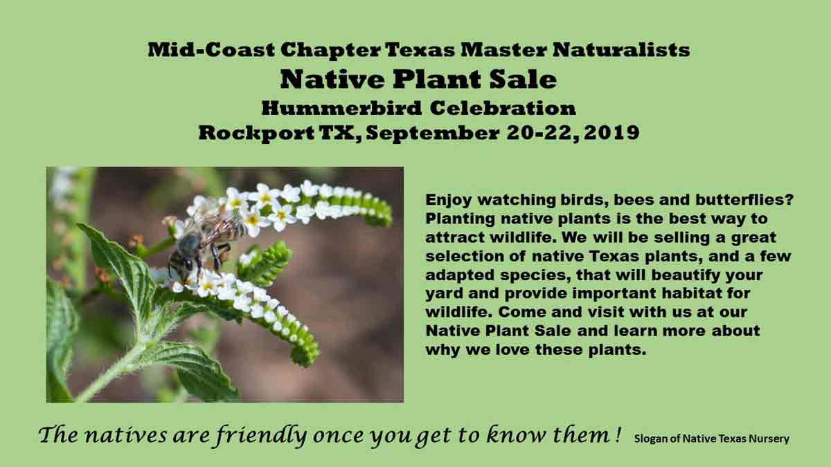 MCTMN Plant Sale Promo